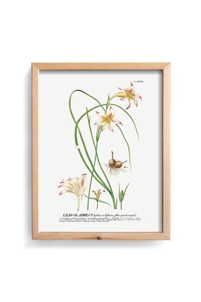 epiqart Лилио Гладиолус - Рамка с дървесен мотив