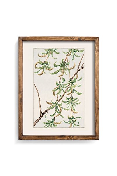 epiqart Ramură de salcie - Cadru cu model din lemn