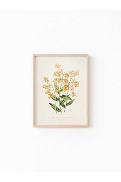 epiqart Epidendrum - Wooden Patterned Frame
