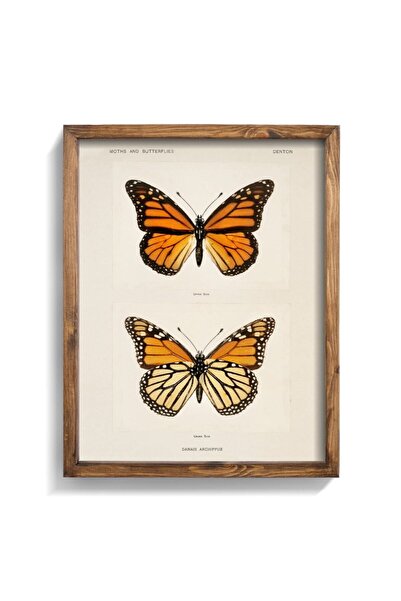 epiqart Butterflies - Wooden Patterned Frame