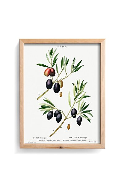 epiqart Ελιάς - Ξύλινη κορνίζα με σχέδιο