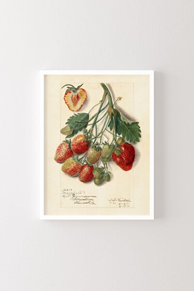 epiqart Σχέδιο φράουλας - Λευκό πλαίσιο