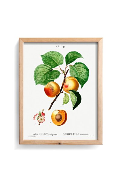 epiqart Caise - Cadru din lemn cu model