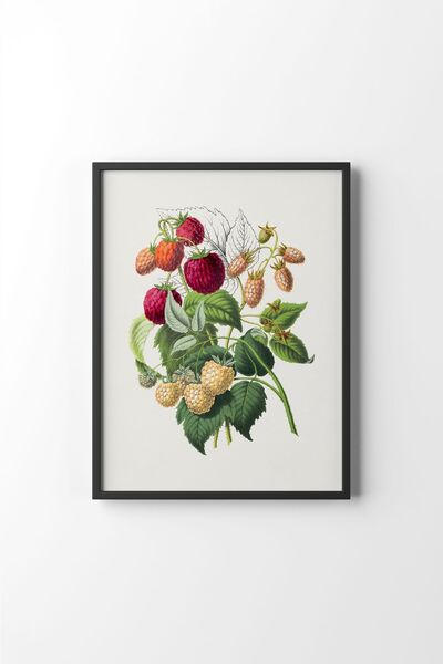epiqart Flowers - Black Frame