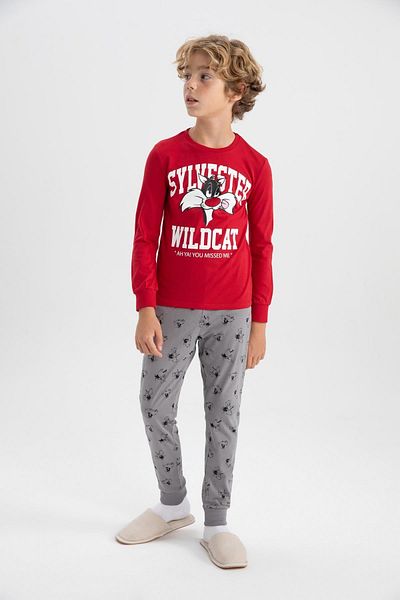 DeFacto Looney Tunes Boy's Pajama Set - Long Sleeve B2641A823Au