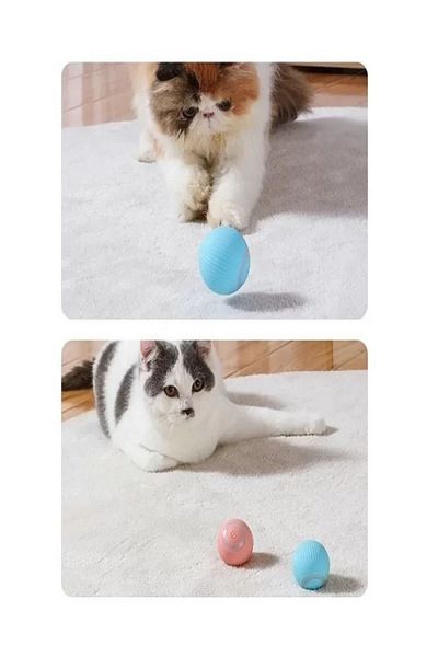 Sonrisa Pets Automatic Rolling Smart Cat Play Ball + Sonrisa Pets Organic Cat Grass 3Pcs