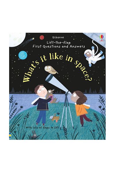 Usborne Long High-Tech First Q-a - What S It Like In Space