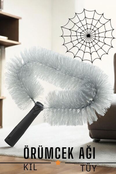 Transformacion فرشاة تنظيف شبكة العنكبوت 720694