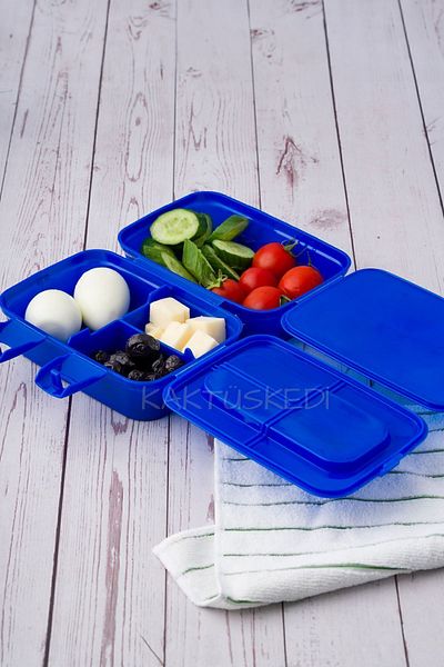 KaktüsKedi Transformers 4 - Kids Lunch Box with Compartments| Food Carrying and Storage Set