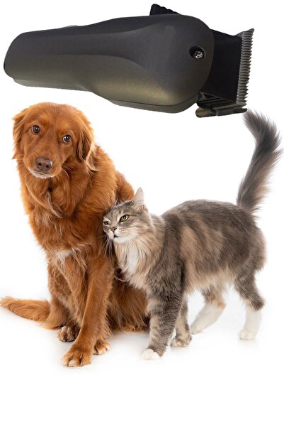 pazariz Kedi Köpek Şarjlı Tıraş Makinesi Y5 Profesyonel Pet Tıraş Makinesi