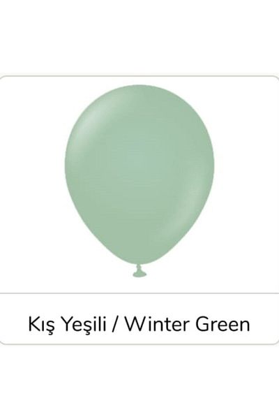 eğlencemarketi 12 Inch Standard Size Retro Balloon 20 Pieces Winter Green