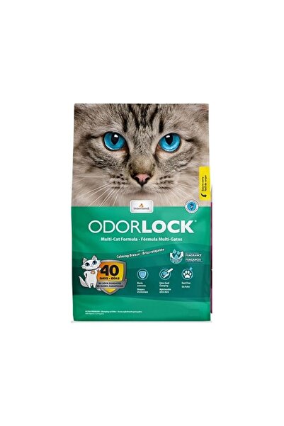 Intersand رمل قطط متكتل مهدئ من أودورلوك، 6 كجم