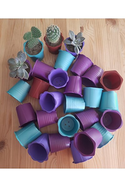 PLASTOBE Kaktüs ve Sukulent Saksısı (100 Adet)