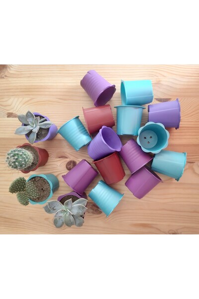 PLASTOBE Kaktüs ve Sukulent Saksısı (50 Adet)