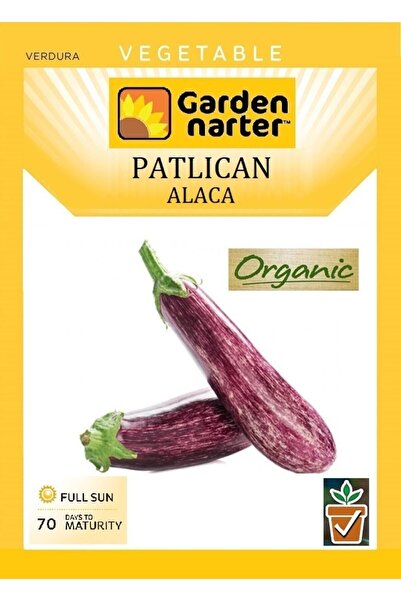 GARDEN NARTER Alaca Patlıcan Tohumu Doğal Organik Mor Çizgili Patlıcan Tohumu...