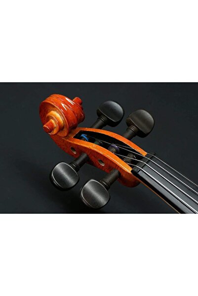 Stentor 1018/A 4/4 Keman (Kutu Yay Reçine )