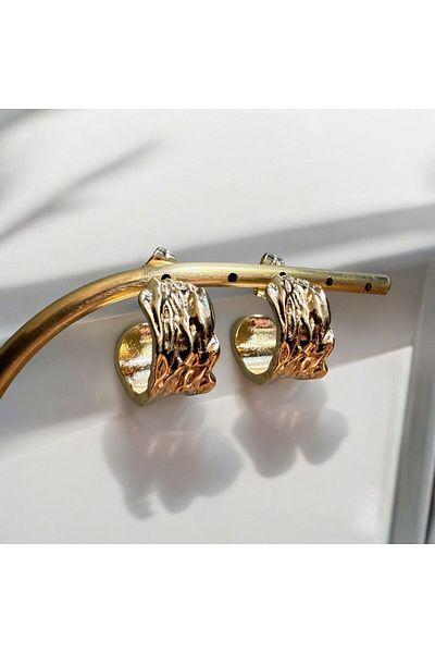 NiAccessory New Season Design - Steel Earrings