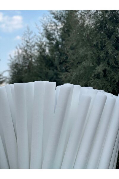 teknotrust 5 Pieces of White Color Sea and Pool Swimming Pasta, Foam Sausage