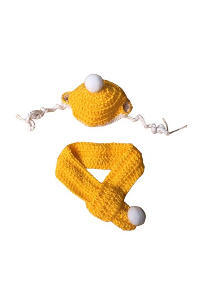 Be Cat Şapka Atkı Set Kedi Aksesuarları