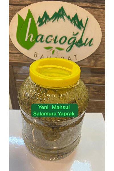 Hacıoğlu baharat Hatay Yöresel Salamura Yaprak 3 Litre Bidon