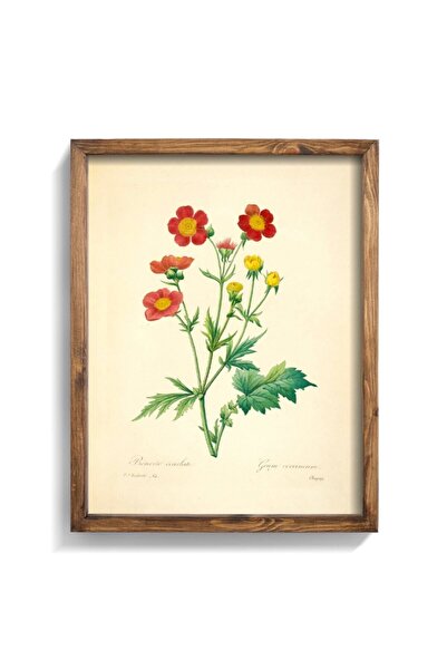 epiqart Geum Coccineum - Wooden Patterned Frame