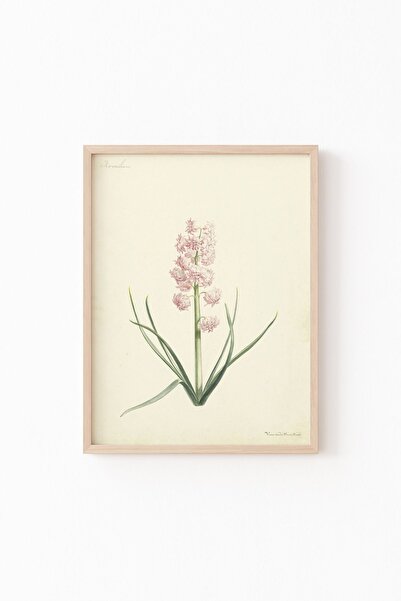 epiqart Sümbül Mercanlar - Ahşap Desenli Çerçeve