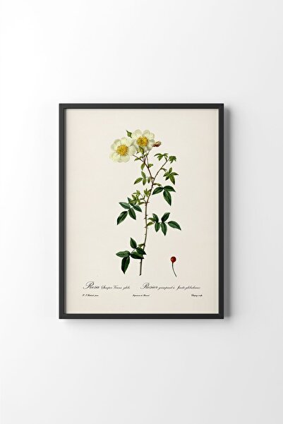 epiqart Flowers - Black Frame