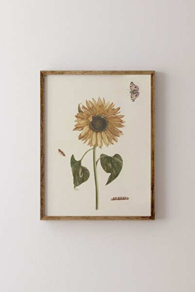 epiqart Ayçiçeği - Ahşap Desenli Çerçeve