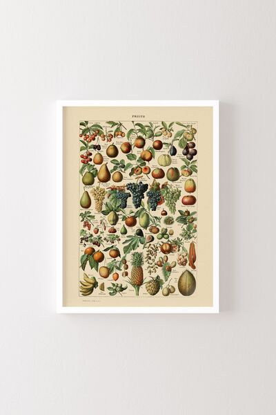 epiqart Fructe - Cadru alb