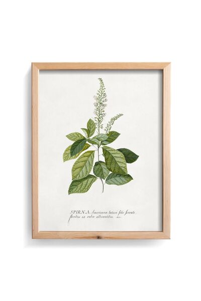 epiqart Κανέλα - Ξύλινος Πλαίσιο με Σχέδιο