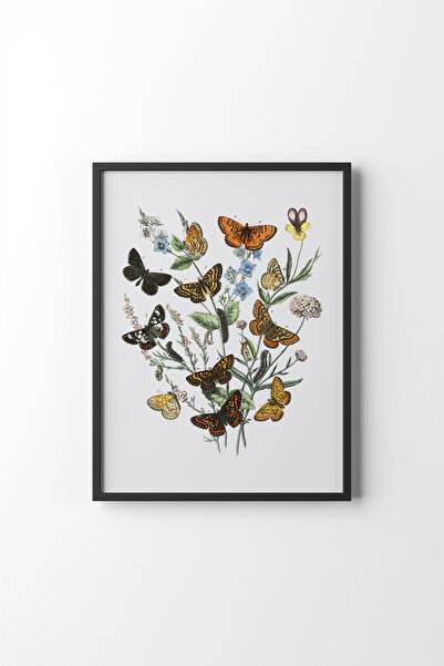 epiqart Fluturi - Cadru negru