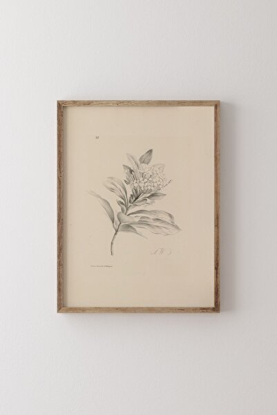 epiqart Hortensia - Ahşap Desenli Çerçeve