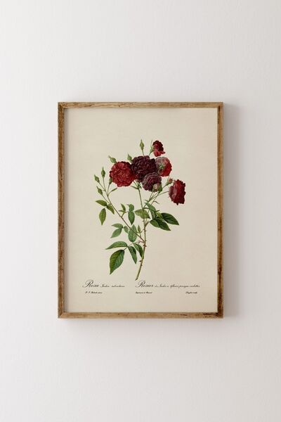 epiqart Çiçekler - Ahşap Desenli Çerçeve