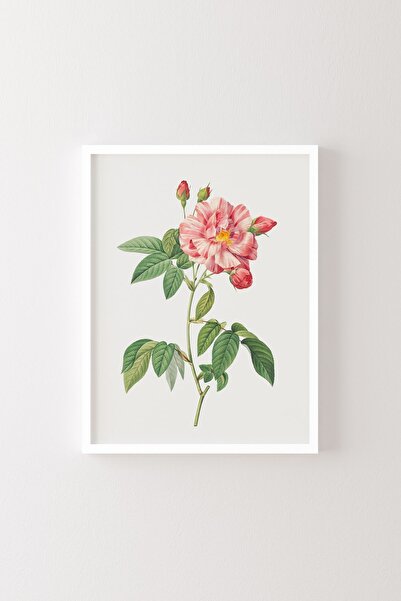 epiqart Flori - Cadru alb