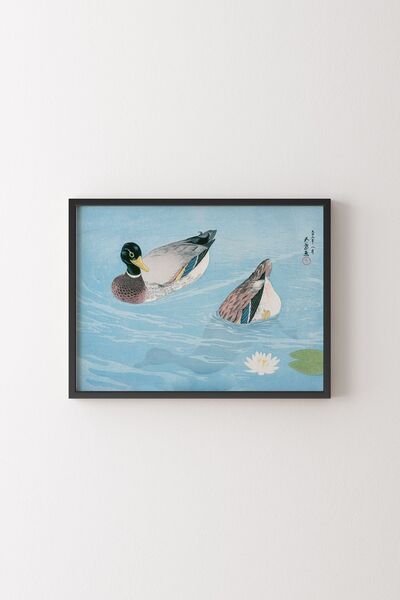 epiqart Ducks - Black Frame