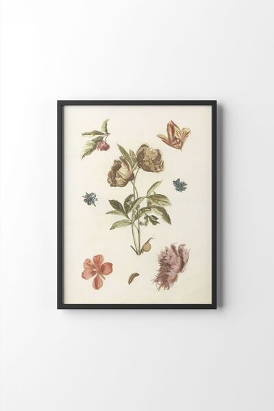 epiqart Flowers, Caterpillar and Snail - Black Frame