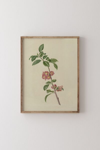 epiqart Σκελετός ιαπωνικής κερασιάς με ξύλινο σχέδιο