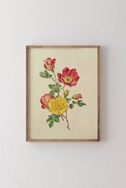 epiqart Yabani Gül - Ahşap Desenli Çerçeve