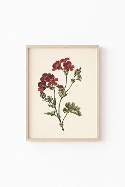 epiqart Kırmızı Çiçekler - Ahşap Desenli Çerçeve