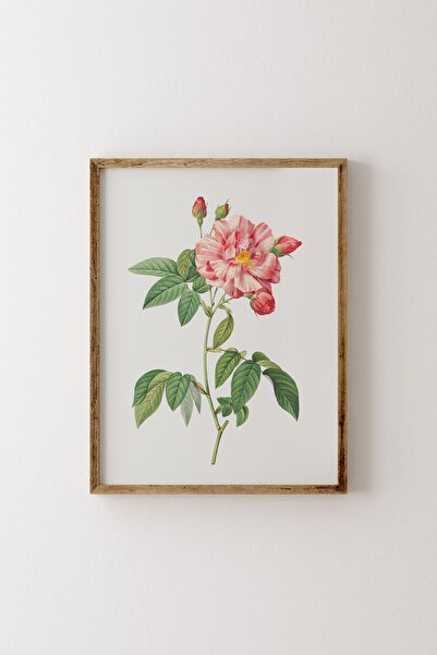 epiqart Çiçekler - Ahşap Desenli Çerçeve