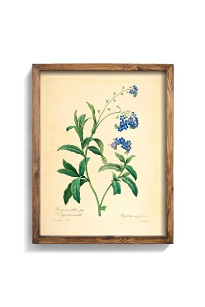 epiqart Ξύλινο Πλαίσιο με σχέδιο - Λουλούδια