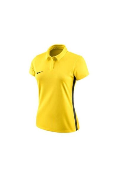 Nike Dry Academy18 899986-719 Bayan Polo Tişort