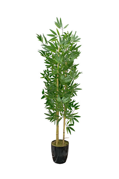 Cennet Home 150 cm Dört Gövdeli Bambu Ağacı - Siyah Yakut Saksıda Parlak Plastik Bambu Dekoru