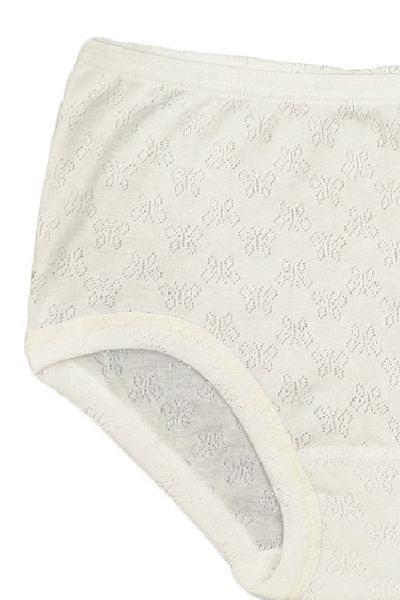 FSM1453 Women's Cotton Transfer Ribana Bato High Waist Elastic Slip Panties - 3009