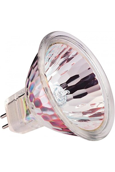 BLV 12v/35w Halojen Lamba