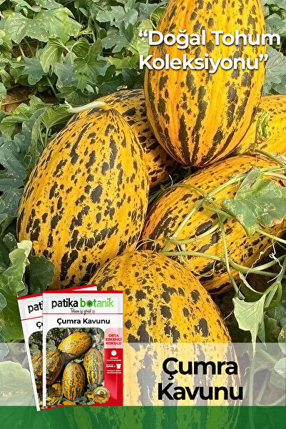 Patika Botanik 100 Adet Çumra Kavunu Tohumu