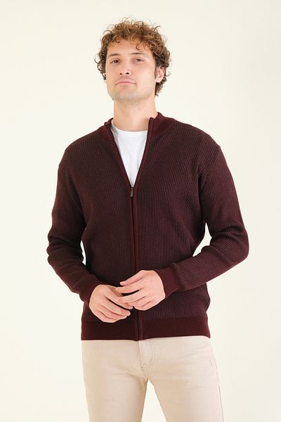 Giyim Dünyası Claret Red Men's Sweater - Stand Collar and Zipper Detail
