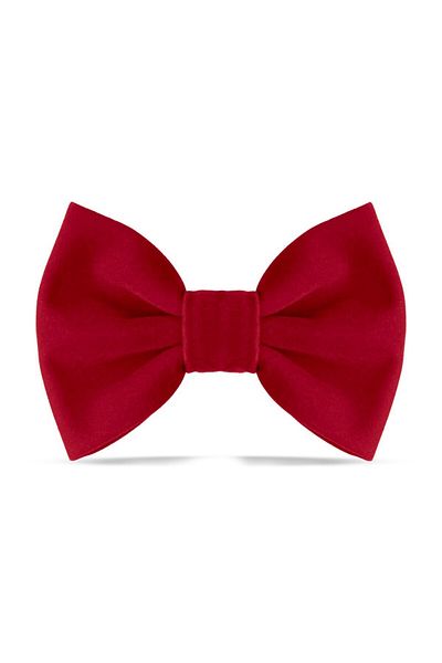 Lusi Doog Red Velvet Dog Bow Tie (SIZE 3) - Bow Tie Only, Leash Not Included