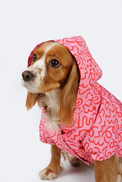 Petperson Pink Confusion Köpek Yağmurluğu/ Köpek Kıyafeti File