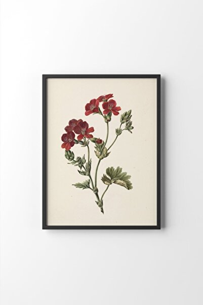 epiqart Kırmızı Çiçekler - Siyah Çerçeve